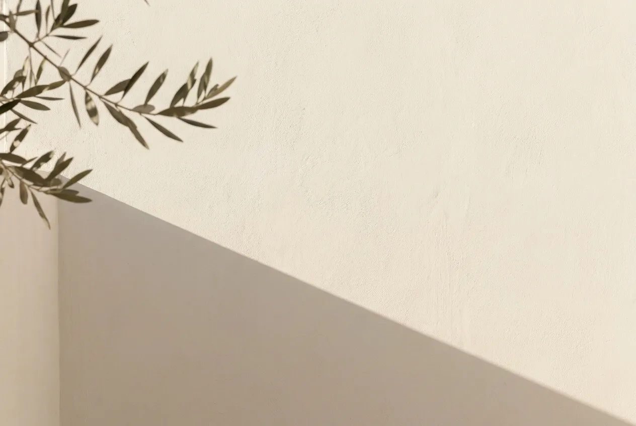Muro encalado con luz de tarde