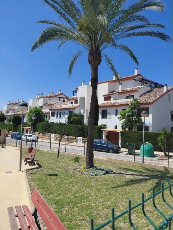 Vista exterior del conjunto con palmera central, jardinera y viviendas blancas con tejado de teja