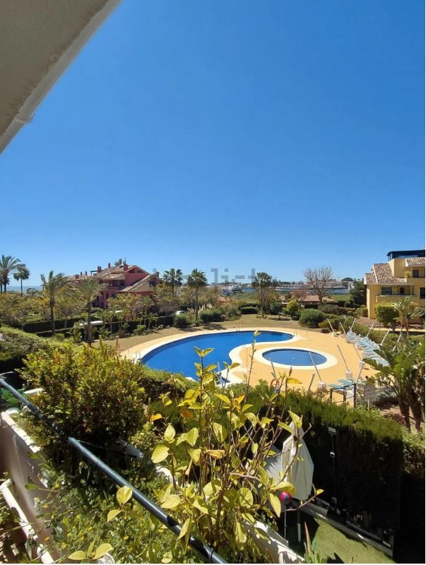 Vista elevada de la piscina comunitaria desde la terraza con seto y palmeras en primer plano
