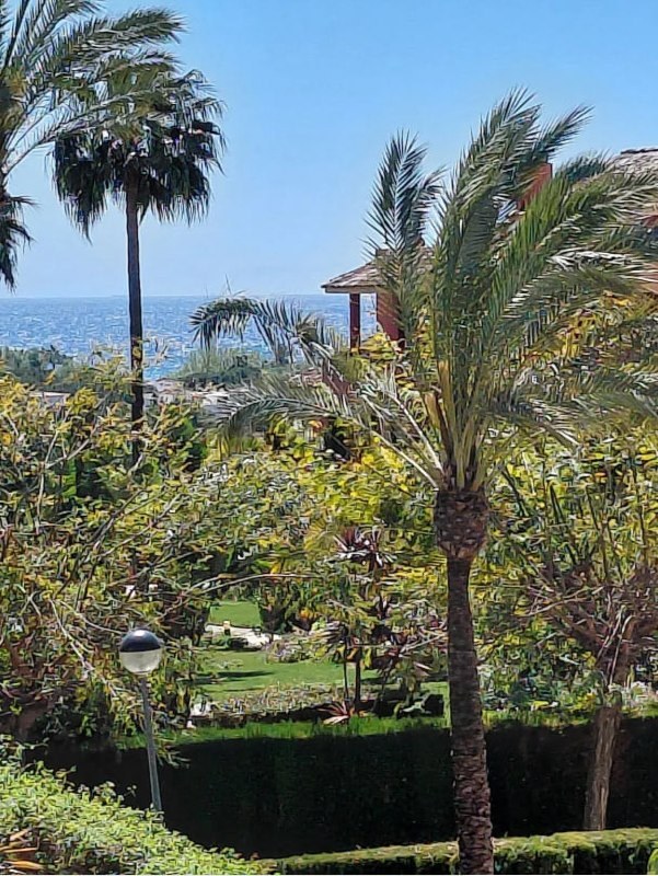 Palmeras y jardín con vistas abiertas al mar Mediterráneo